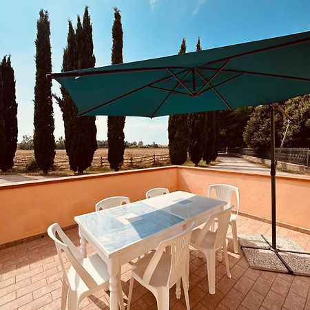 Agriturismo Santa Maria فولّونيكا المظهر الخارجي الصورة